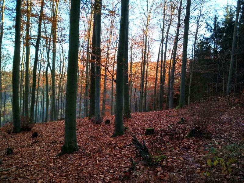 Výlet v Chřibech
